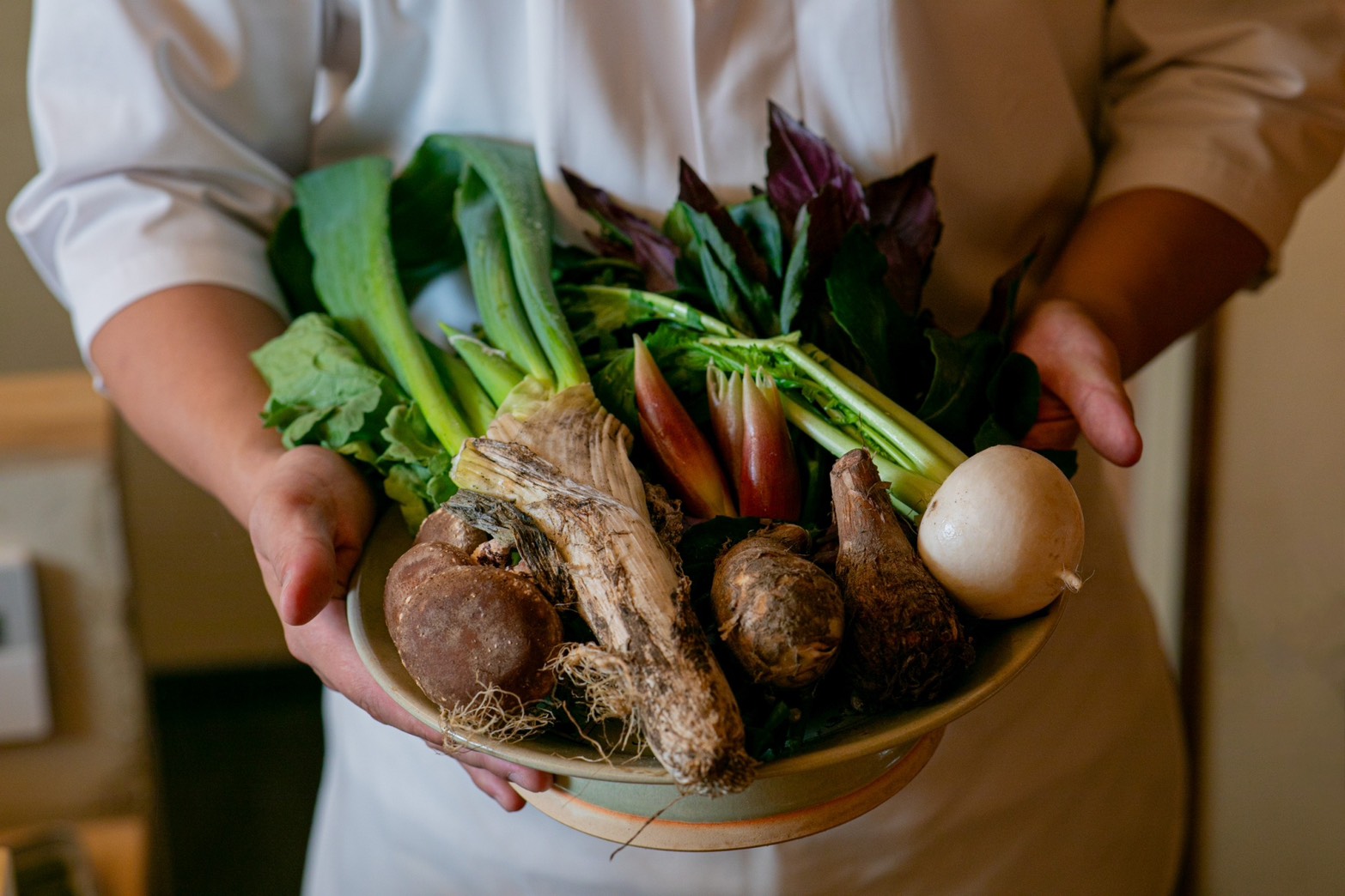 おまかせコース