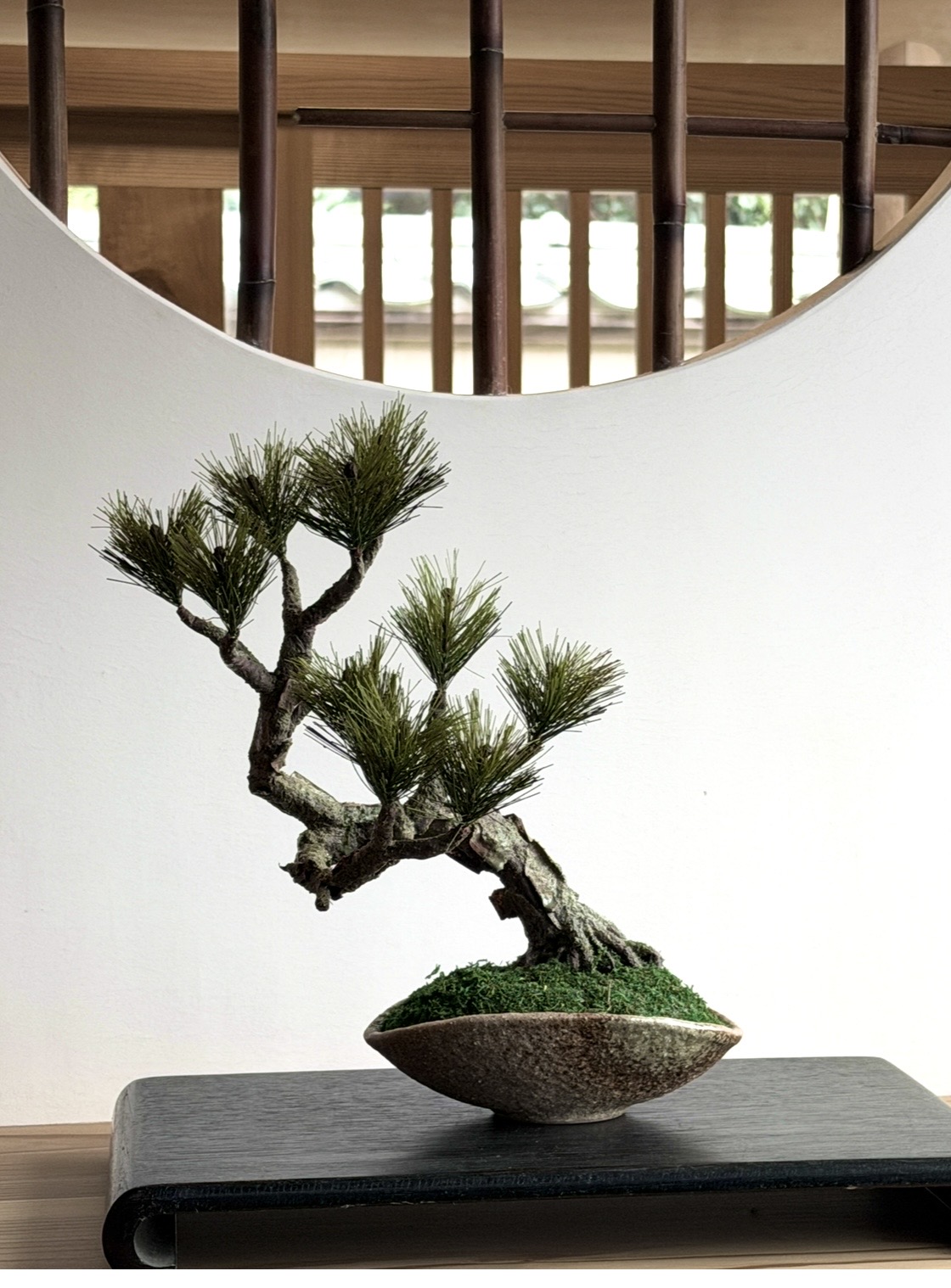 松盆栽